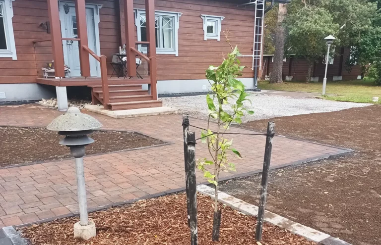 Mökkipiha